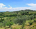 Blick auf San-Gimignano Pancole