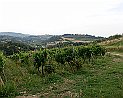 Rückblick nach San-Gimignano Toskana