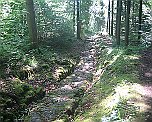 Alter Römerweg vor Montpetot Doubs
