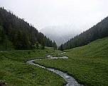 Tal des Torrent du Grand Saint-Bernard